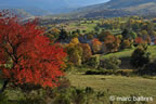 cevennes, automne, 2025,